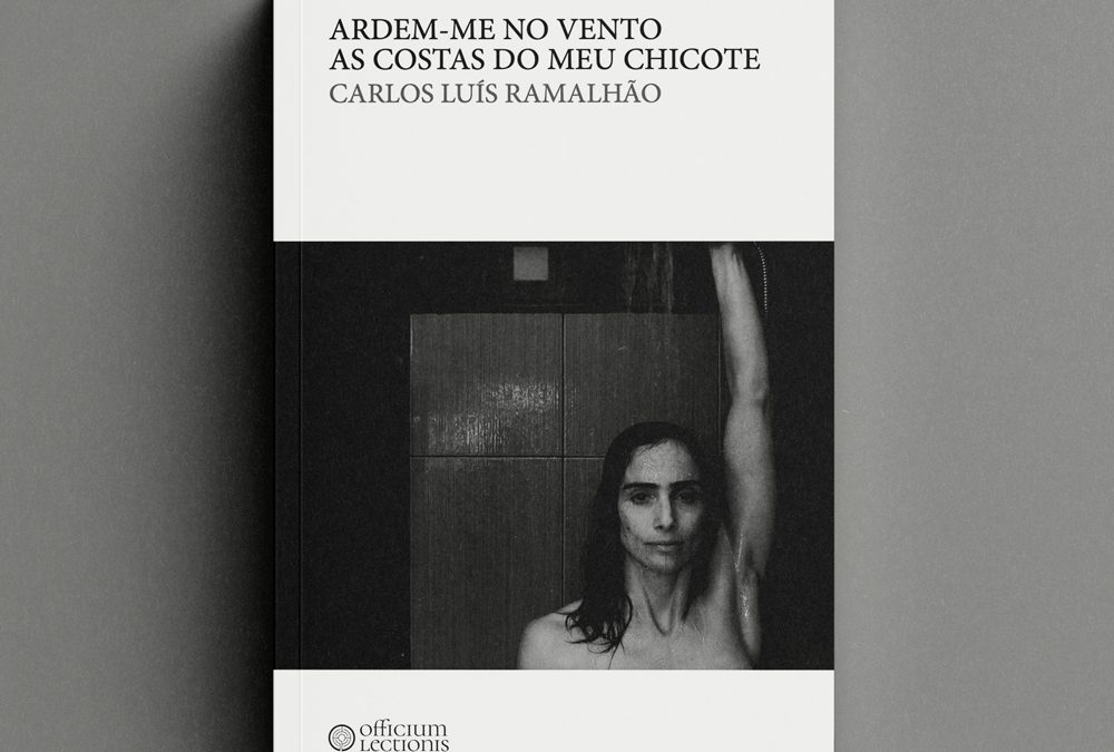 Ardem-me no vento as costas do meu chicote